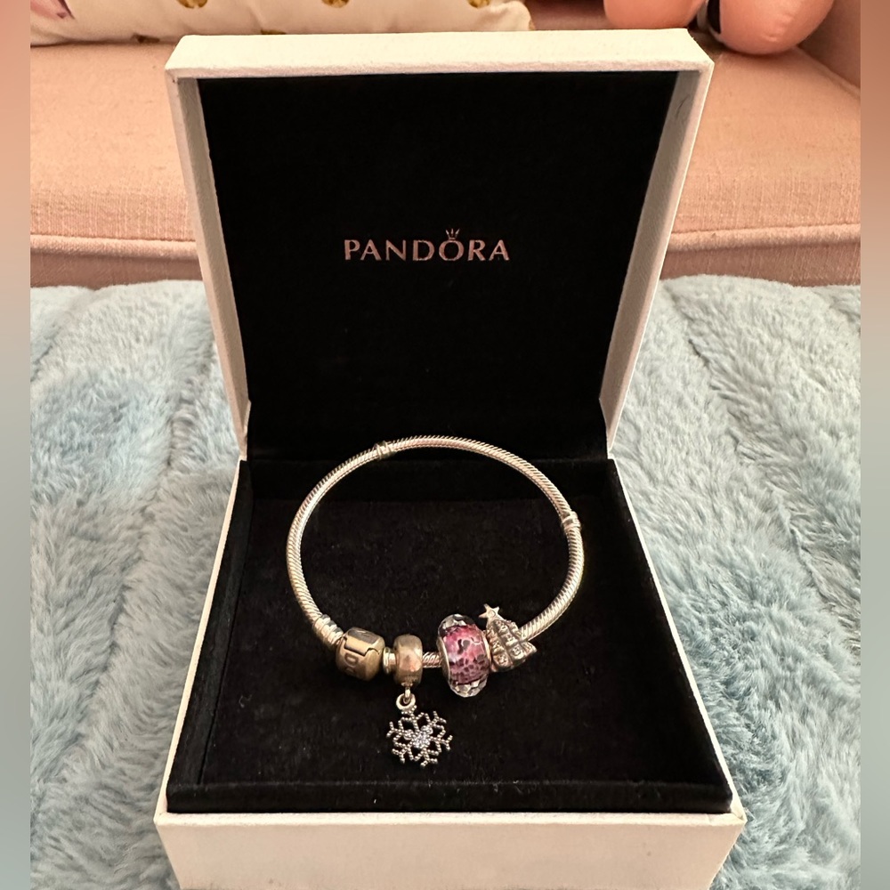 Never Worn - Pandora Bracelet with Charms